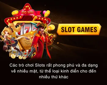 Nền tảng cá cược được cấp phép
